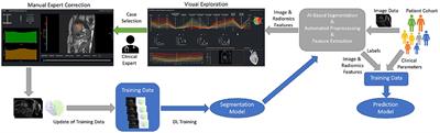 A Collaborative Approach for the Development and Application of Machine Learning Solutions for CMR-Based Cardiac Disease Classification